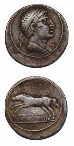Monnaie à l'effigie de Vermina (Masaesyles)